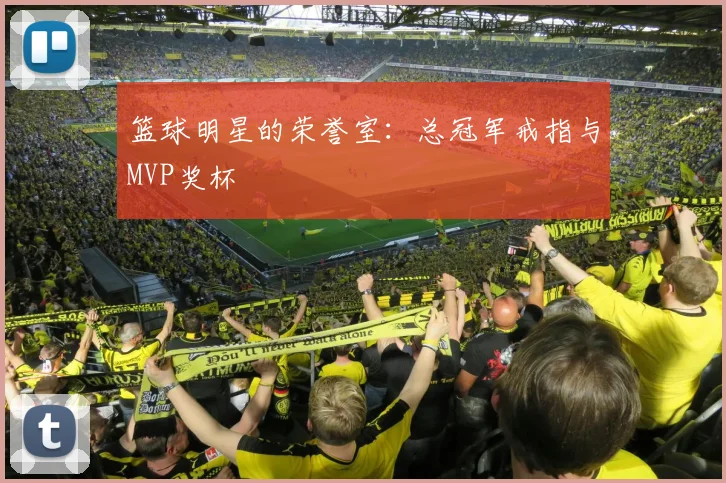 篮球明星的荣誉室：总冠军戒指与MVP奖杯